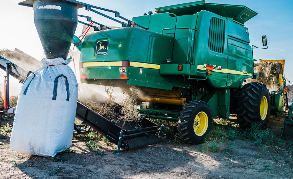 Harvesting hemp in Western Canada