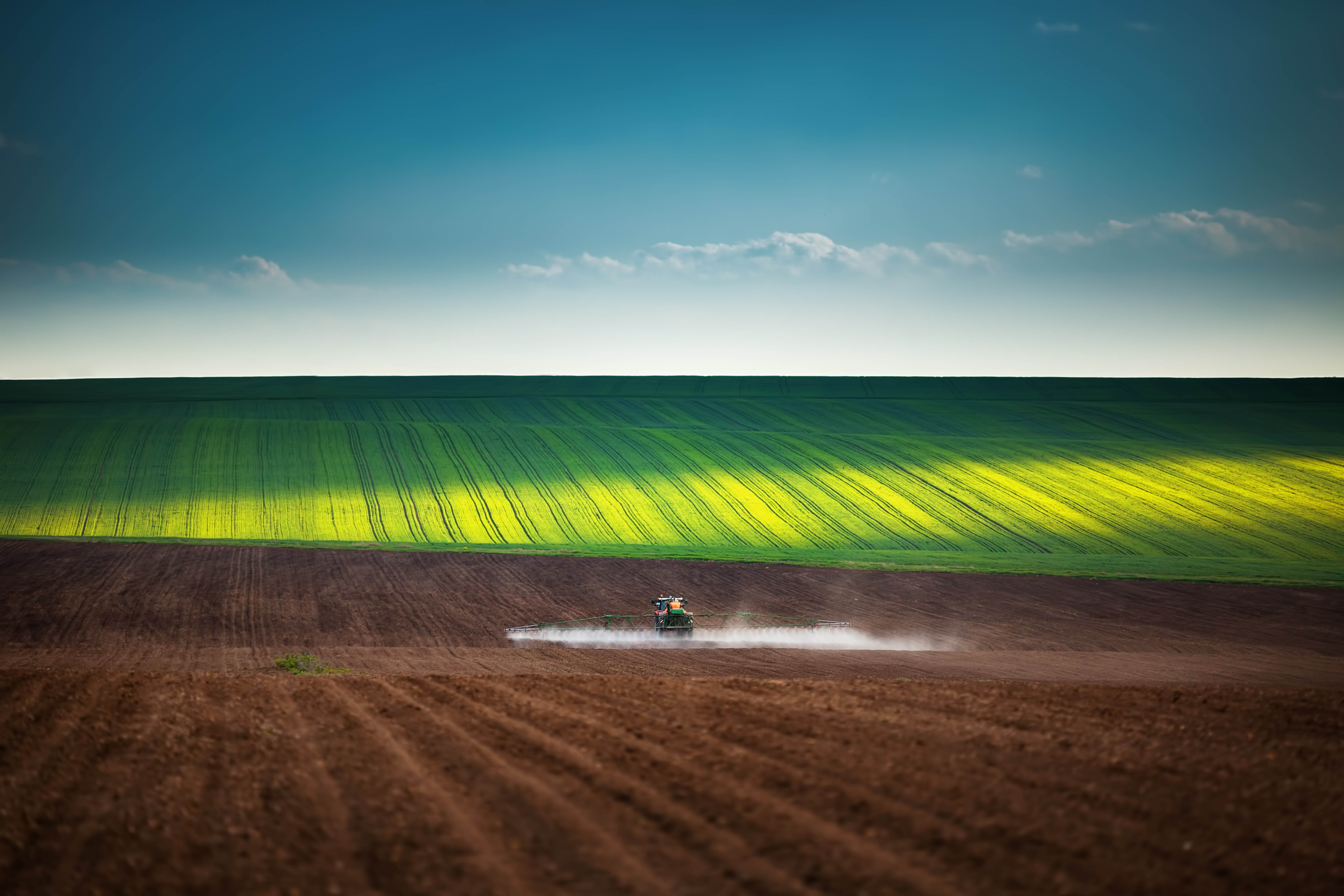 Spraying a newly planted field