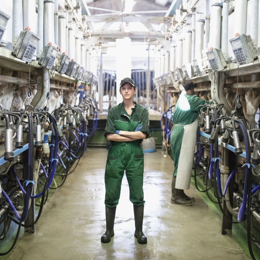 Dairy farm worker