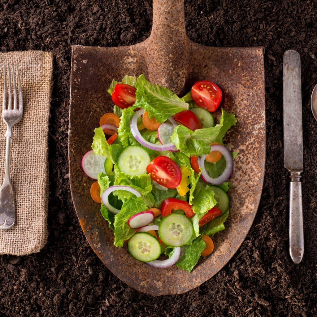 Farm to fork scaled