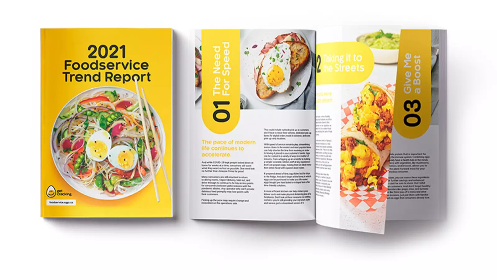 EFC Trend Report Mockup