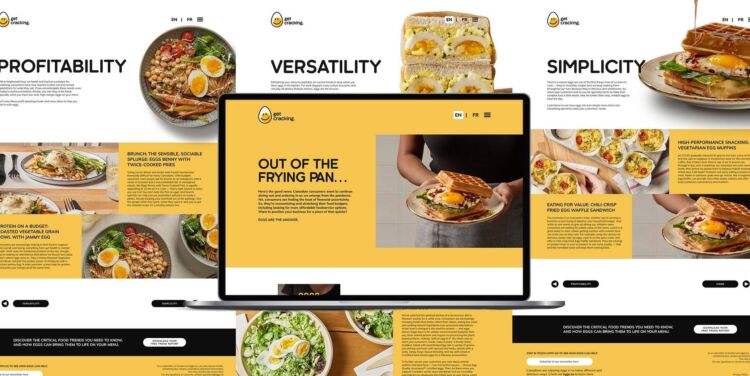 4 Site web