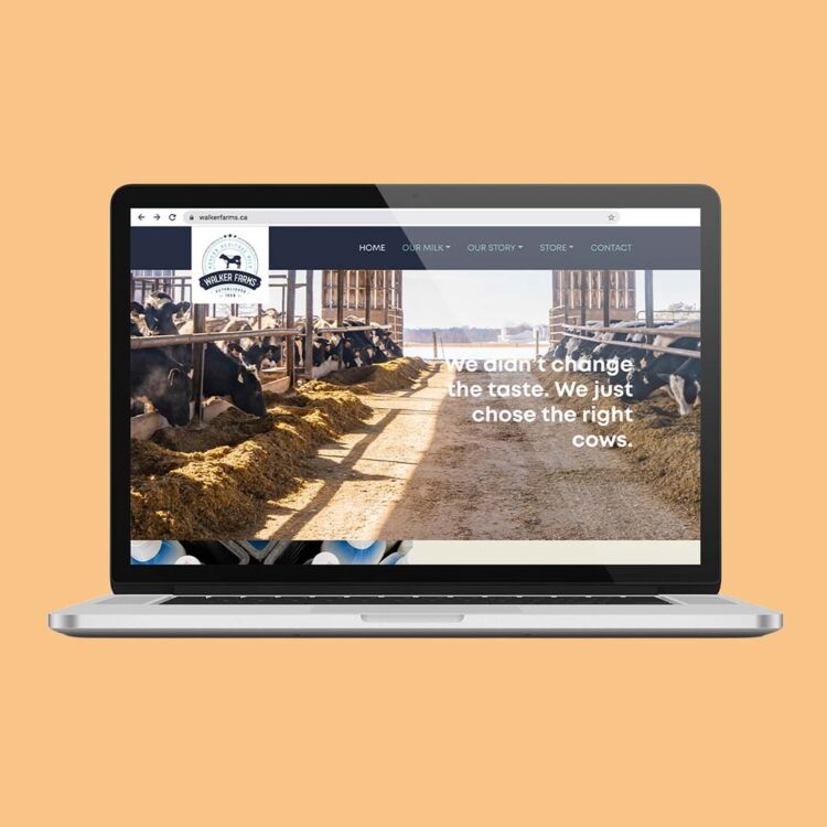 3 Site web