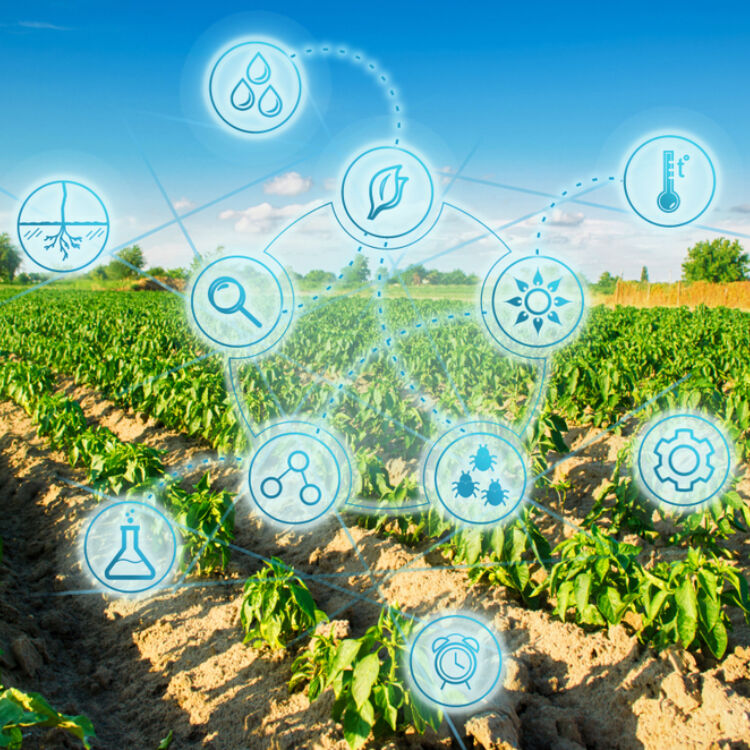 Connectedfarm