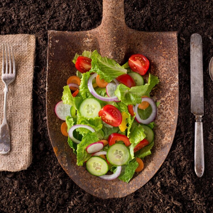 Farm to fork scaled