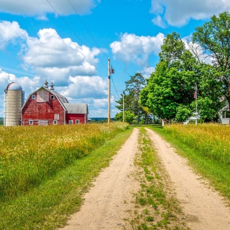 Small farm