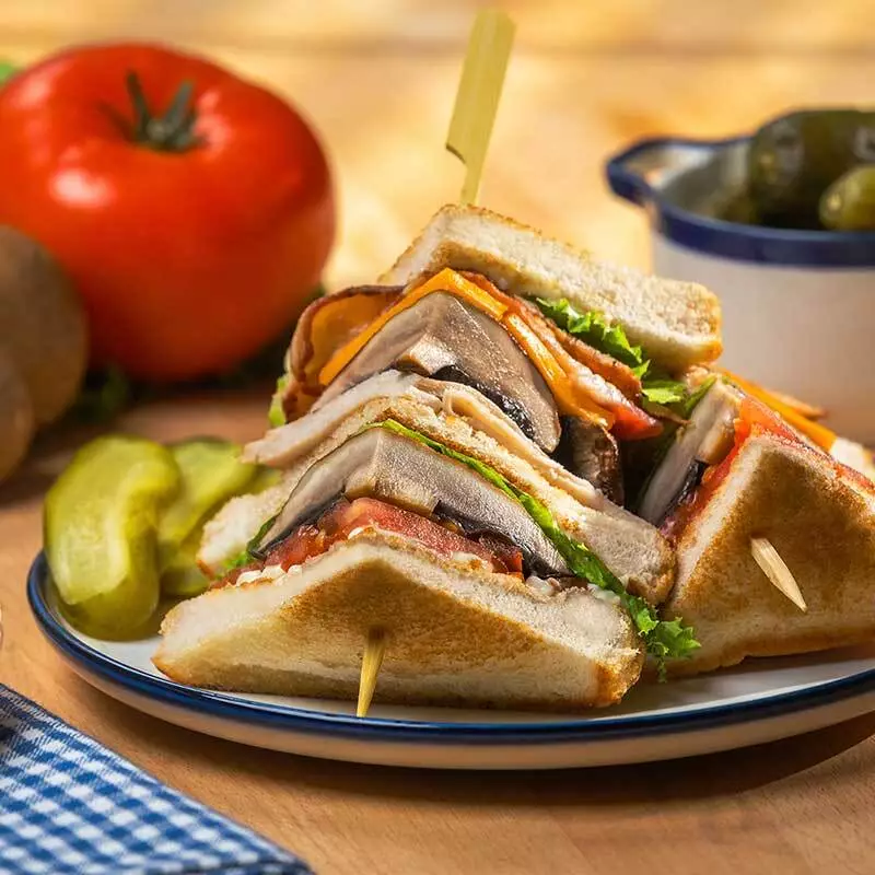 Mushroom Photography Club1