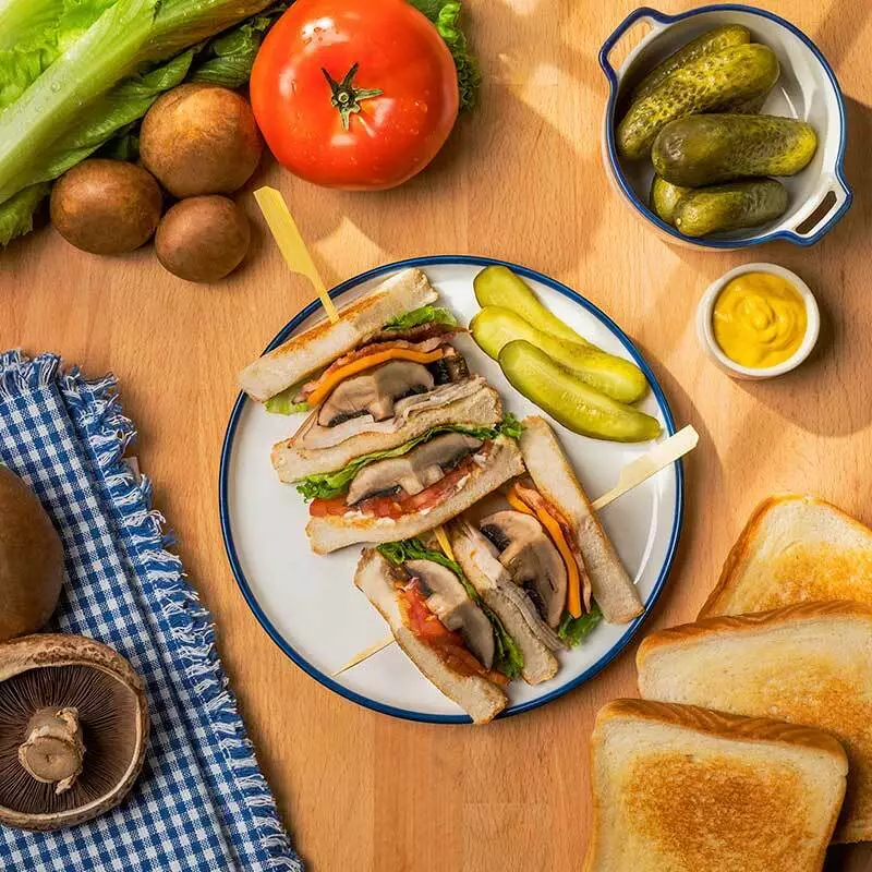 Mushroom Photography Club2