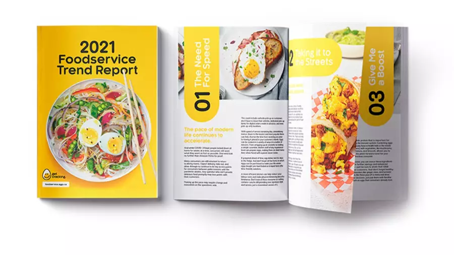 EFC Trend Report Mockup