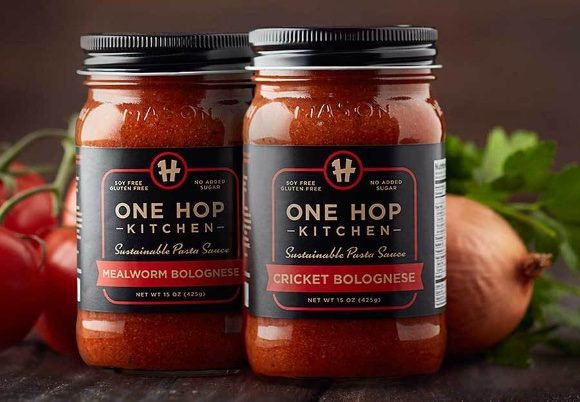 One hop kitchen insect pasta sauce