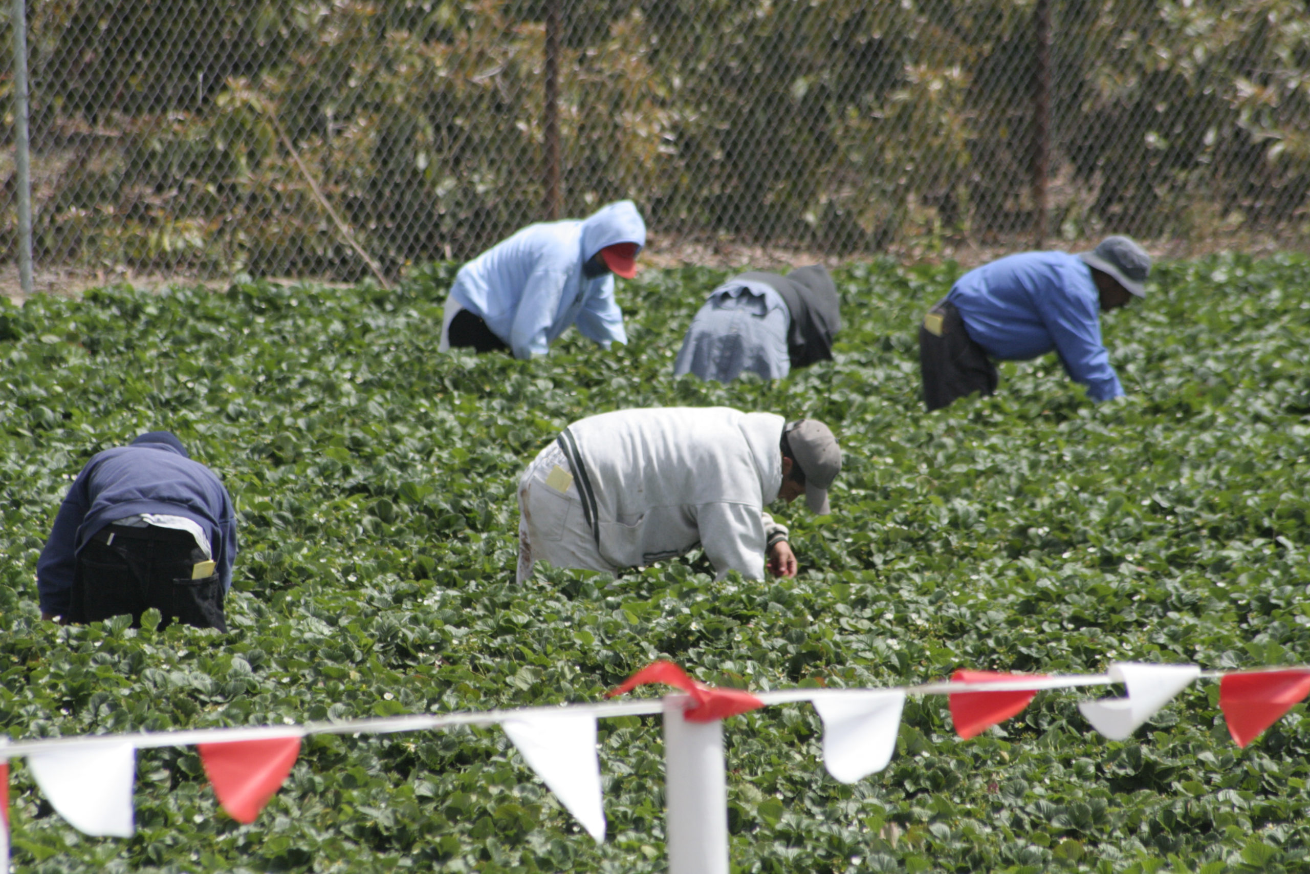 nourish.marketing - Low-down on the Farm: Reflecting on COVID and the Agri-food Industry